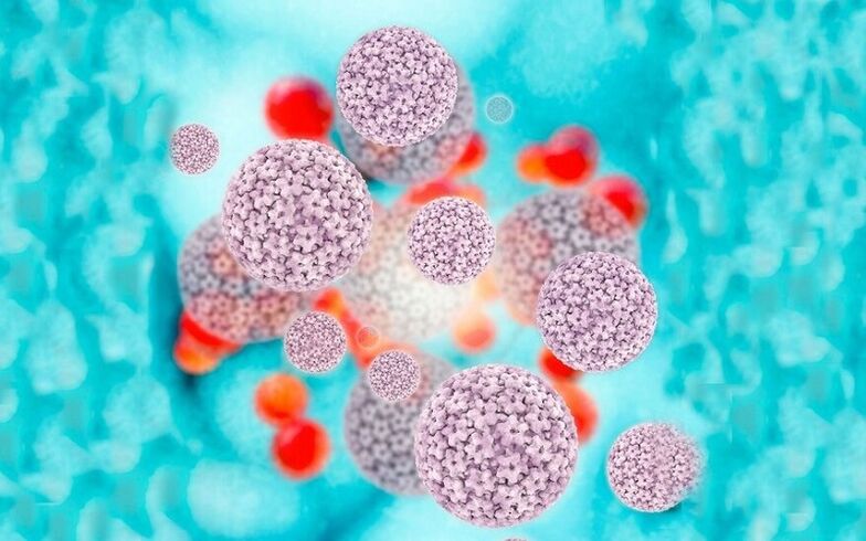 Human papillomavirus causes papillomas in the labia