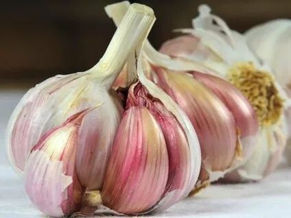 Garlic against warts and papilloma